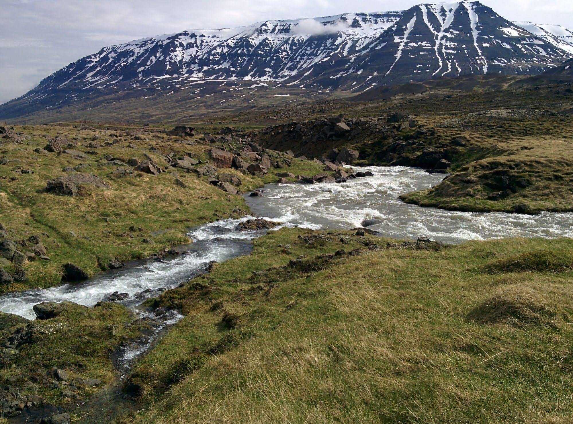 Engimyri Lodge Eksteriør billede